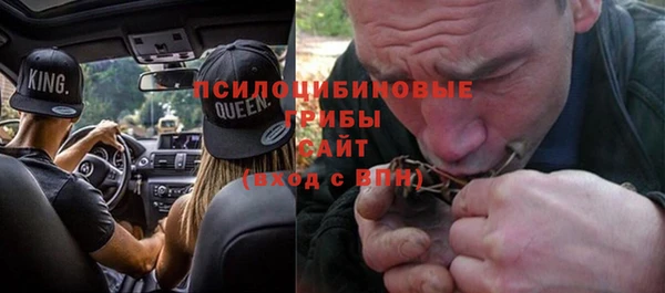 круглые Алзамай