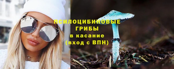 стафф Аркадак