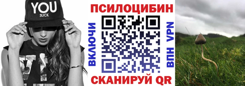 shop клад Лахденпохья Галлюциногенные грибы прущие грибы