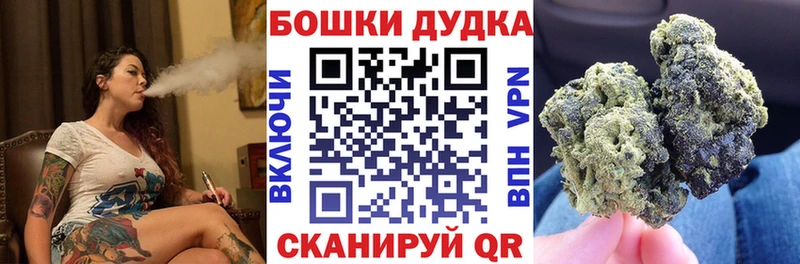 Каннабис план купить наркотики цена Лахденпохья
